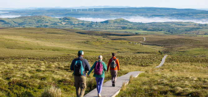 Cuilcagh Boardwalk, Co Fermanagh