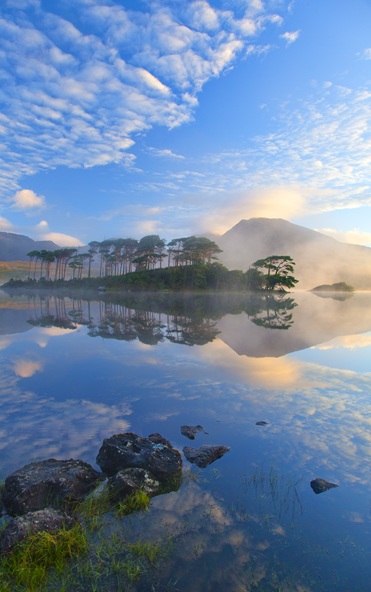 Mountain, trees and lake