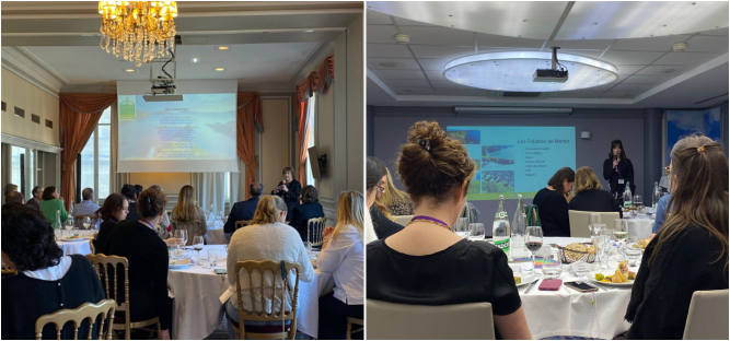 Presentation at a lunch and Learn sales mission