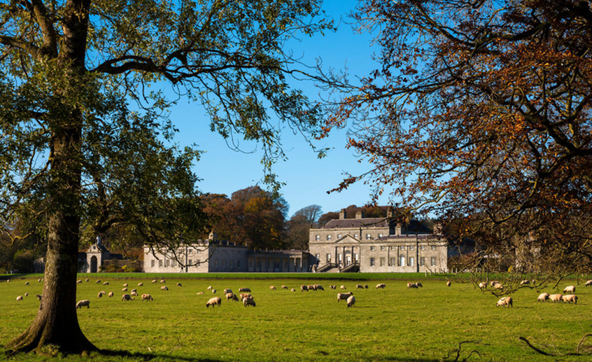 Russborough House overlooking sheep grazing in parkland, County Wicklow.
