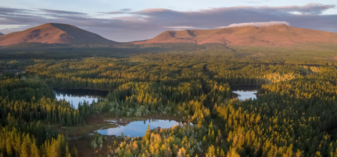 Wild Nephin, Co. Mayo