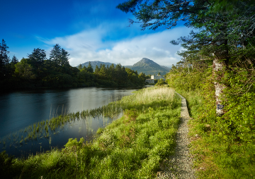 Vertical Spotlight - Ballynahinch Vertical Spotlight - Ballynahinch