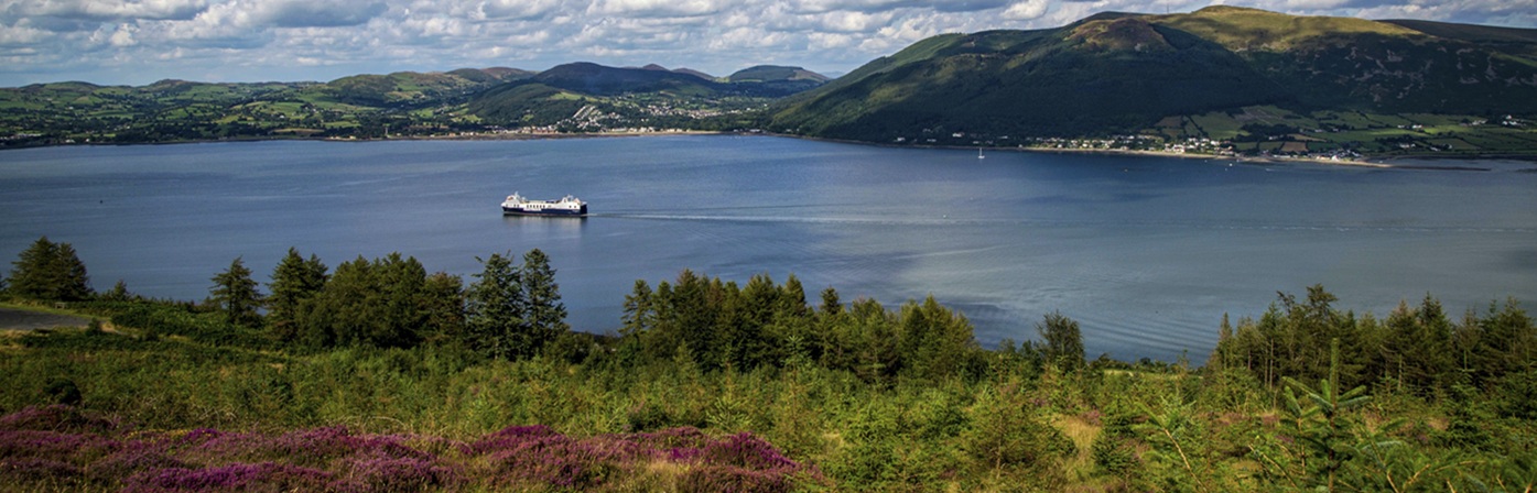 Carlingford
