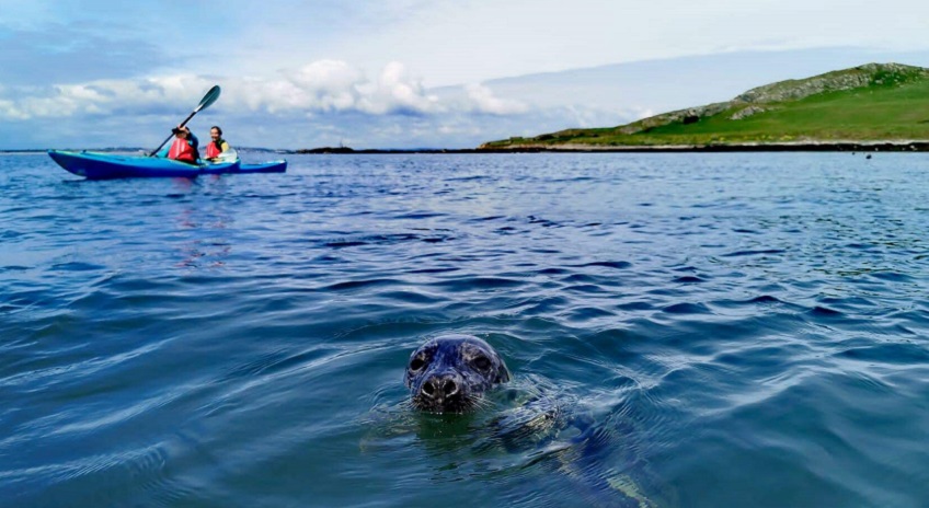 KAYAKING, IRELAND'S EYE, CO DUBLIN KAYAKING, IRELAND'S EYE, CO DUBLIN