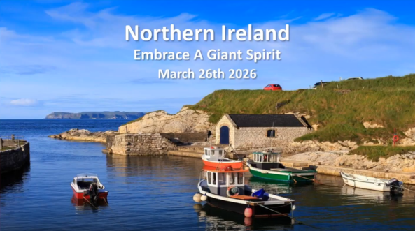 NI webinar screenshot