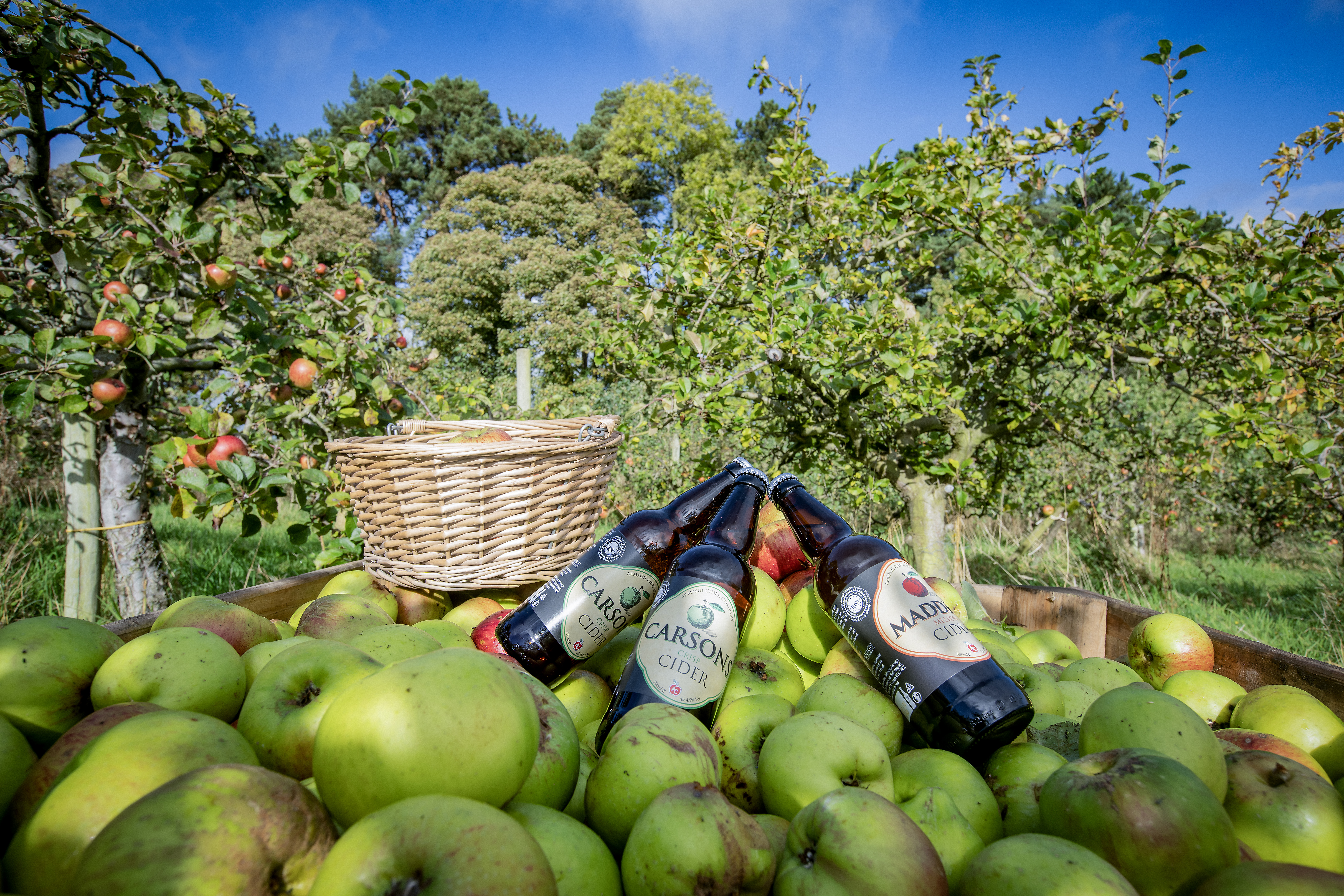 Ballinteggart House Orchard's for Armagh Cider Flaschen mit Cider liegen auf Äpfeln, aus denen er produziert wird
