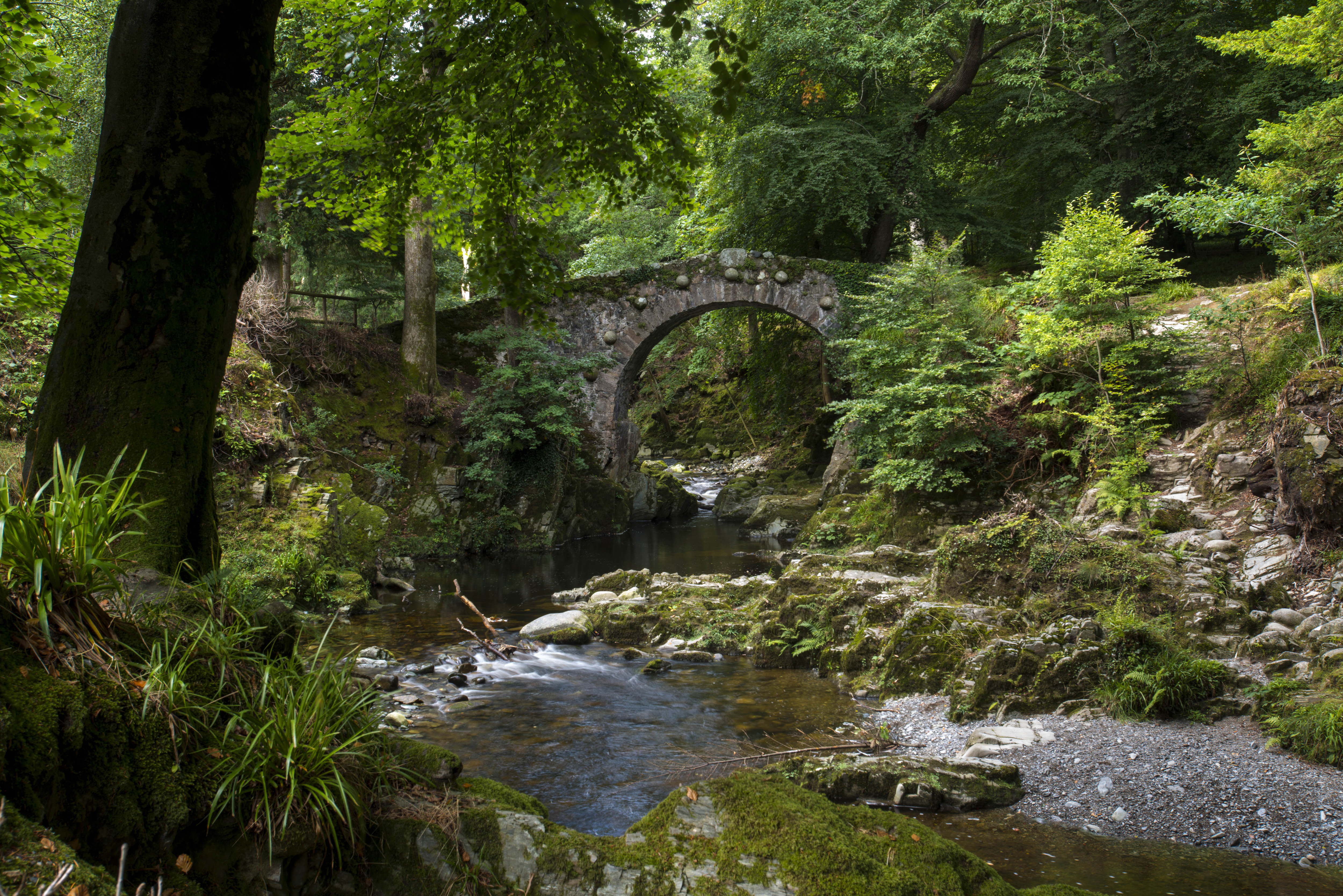 Bosque de Tollymore, condado de Down_4 ©Turismo de Irlanda