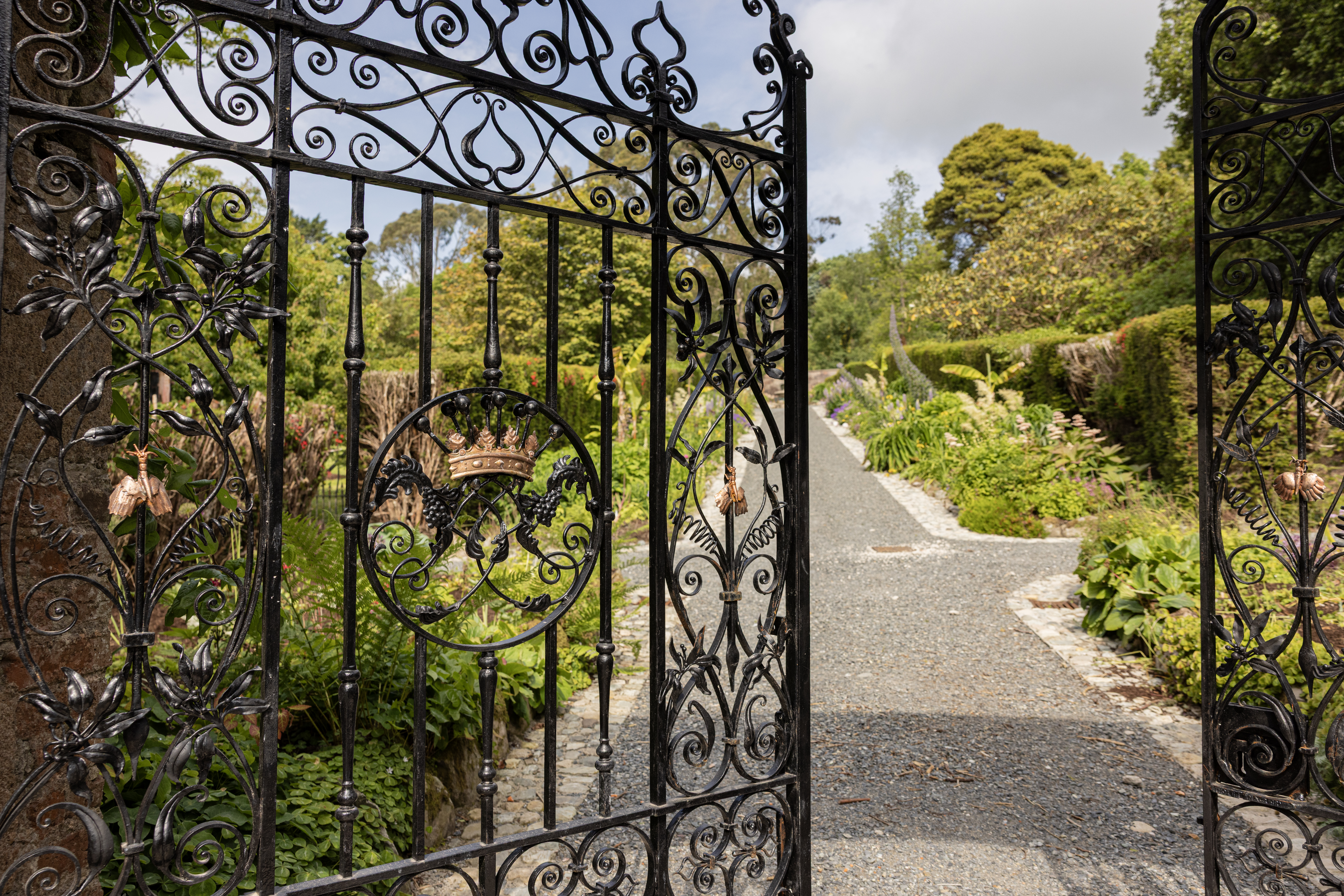 Image of Castlewellan forest park June 2025