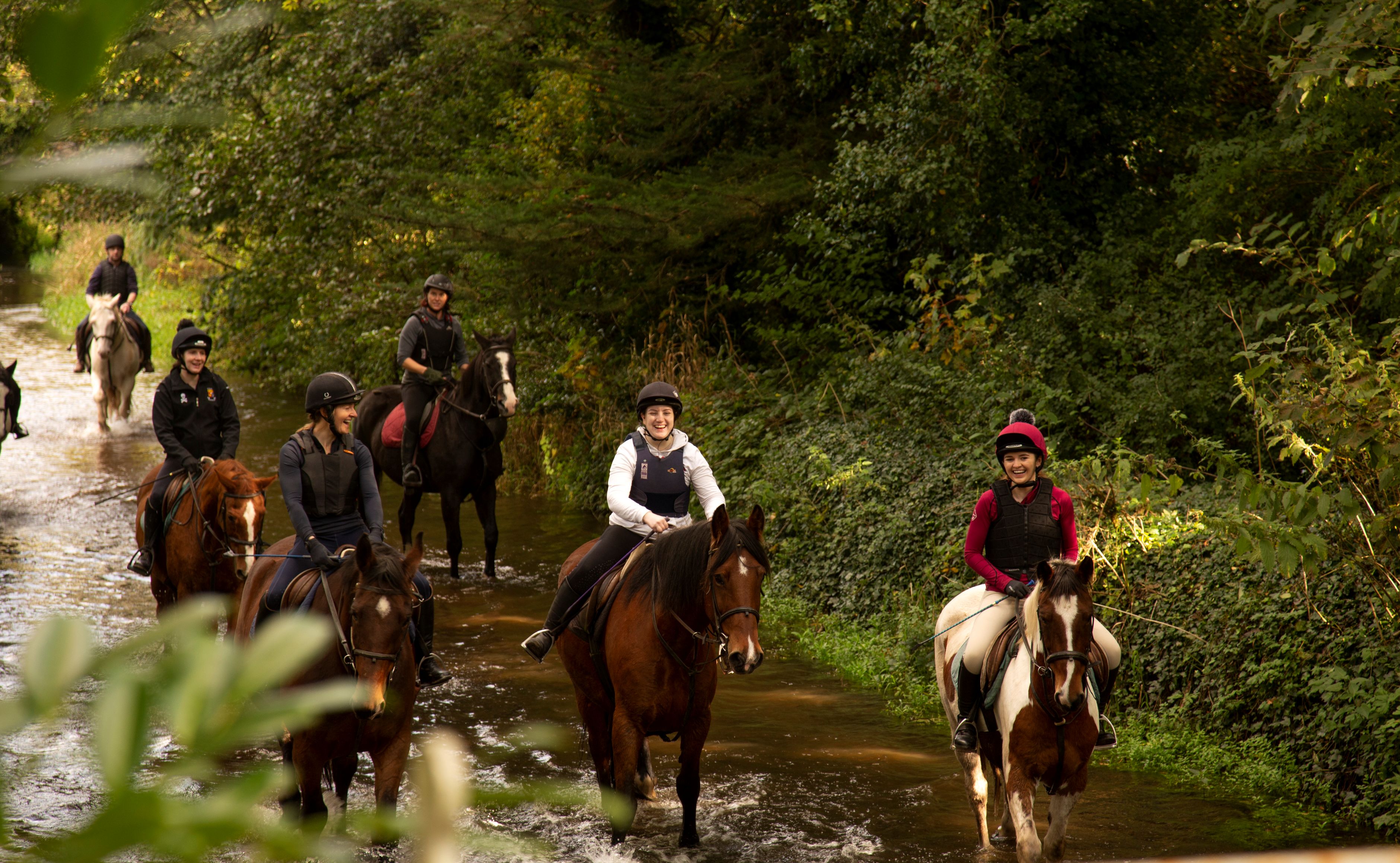 Image of Crossogue Equestrain, Thurles, Co Tipperary