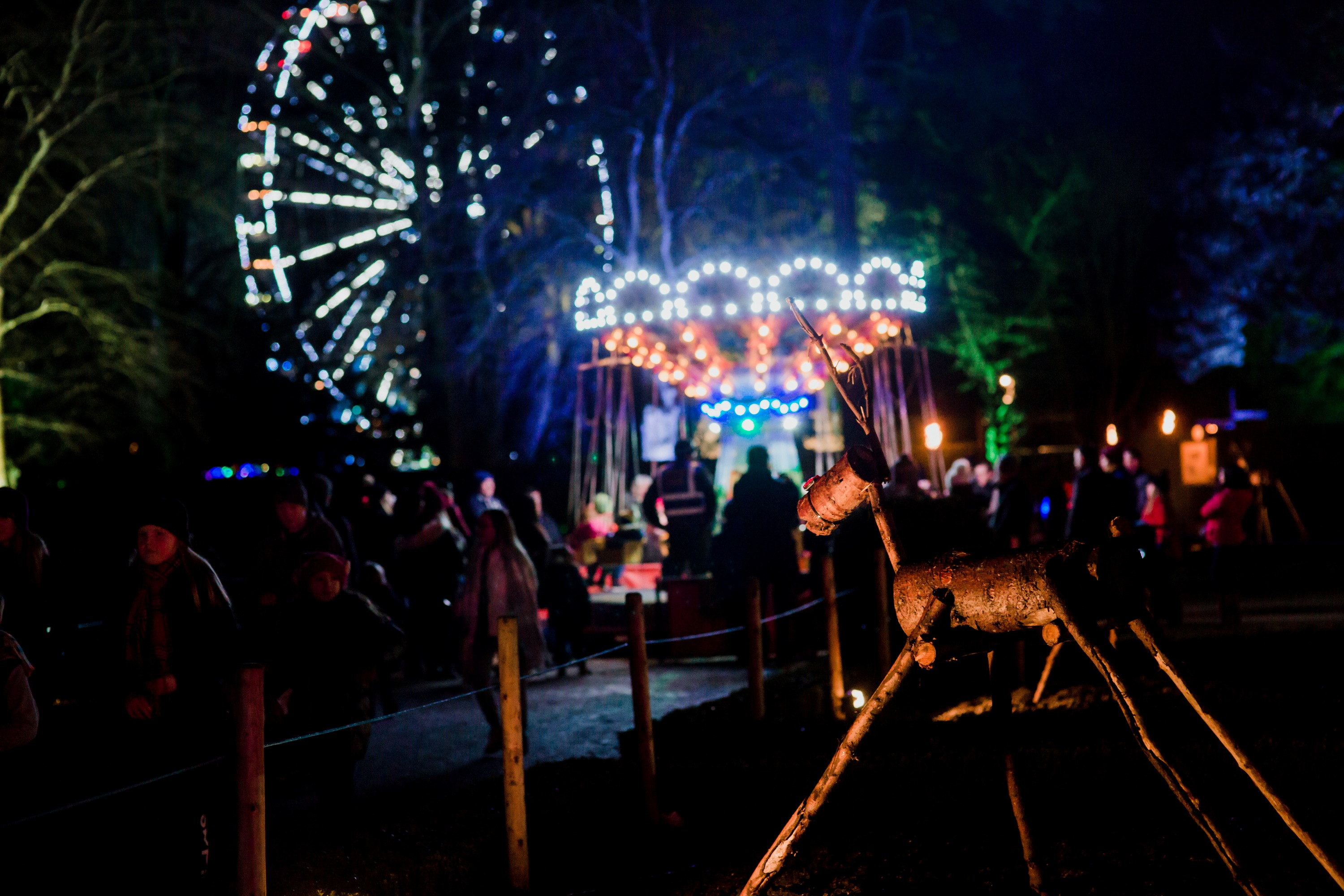 Enchanted Winter Garden, Antrim Castle Gardens