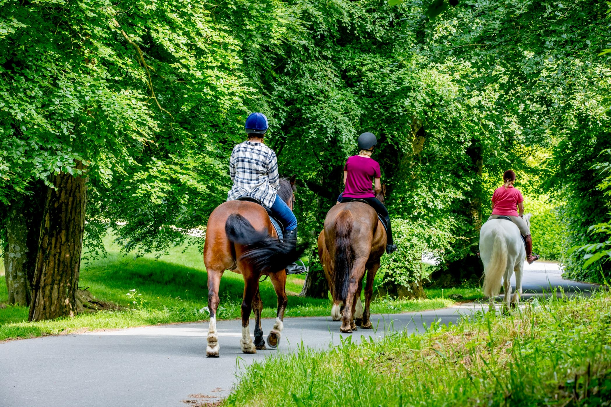 Image of Horse riding, Mount Juliet, Co Kilkenny