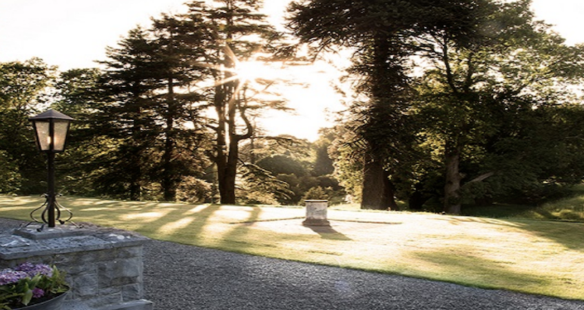 Spring in Ireland