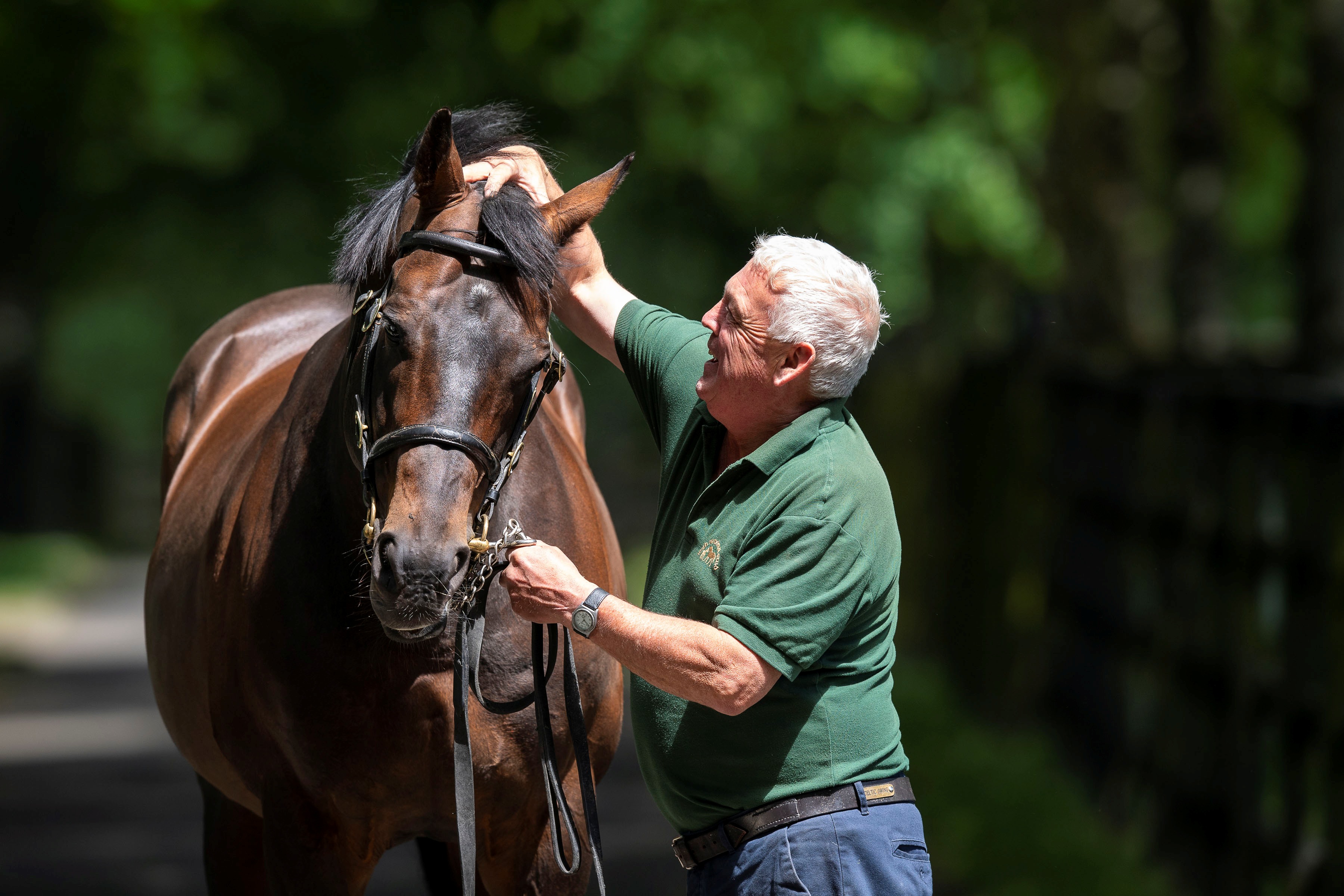 Image of Irish National Stud. Co. Kildare