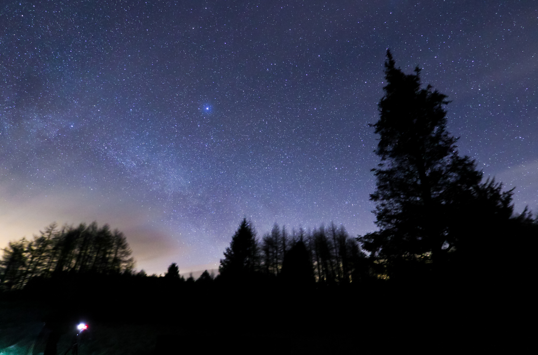 LEAD OM Dark Sky Park Sternenklarer Nachtimmel über Baumwipfeln