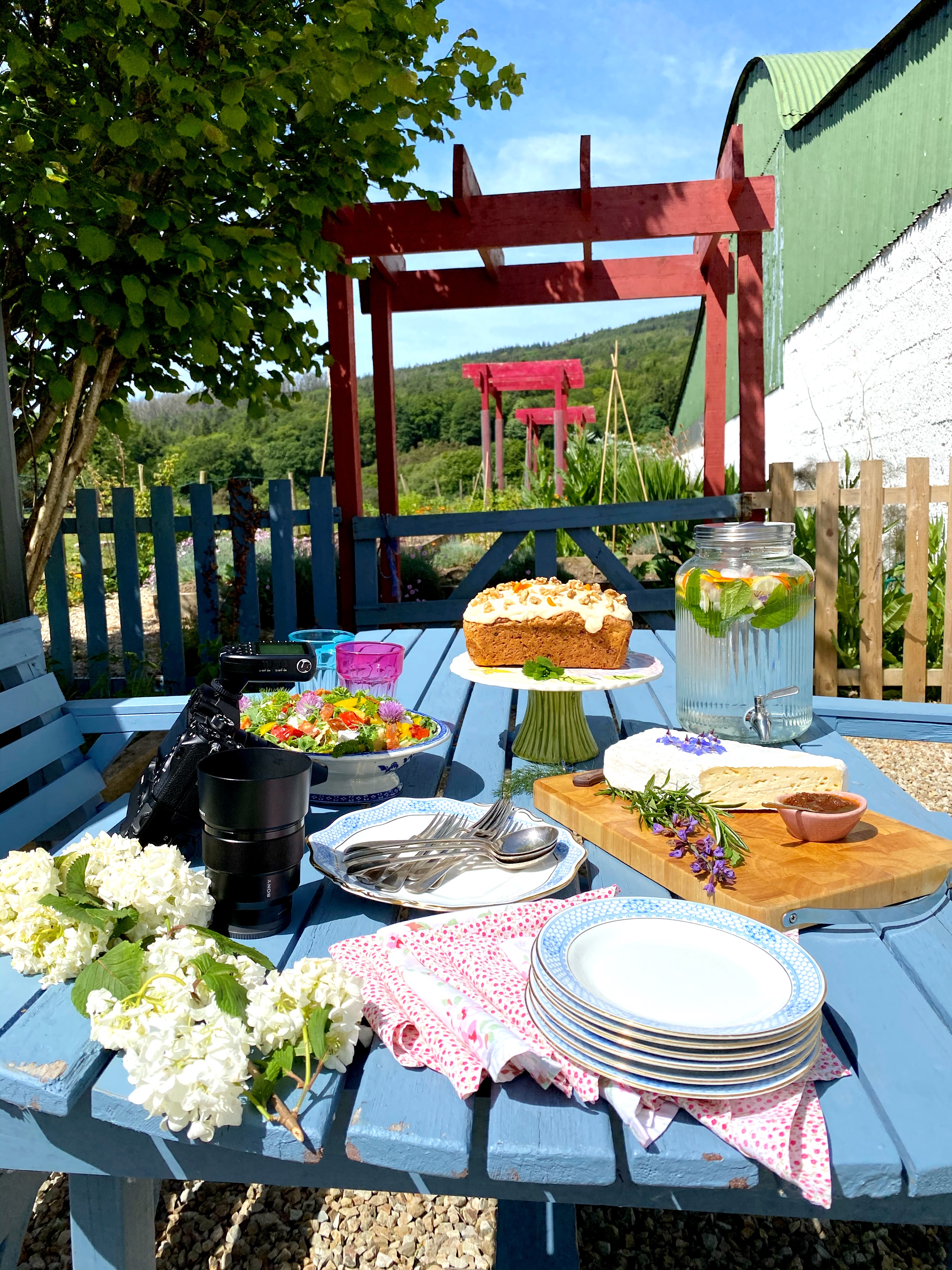 Image of outdoor-dining-picnic-carrick