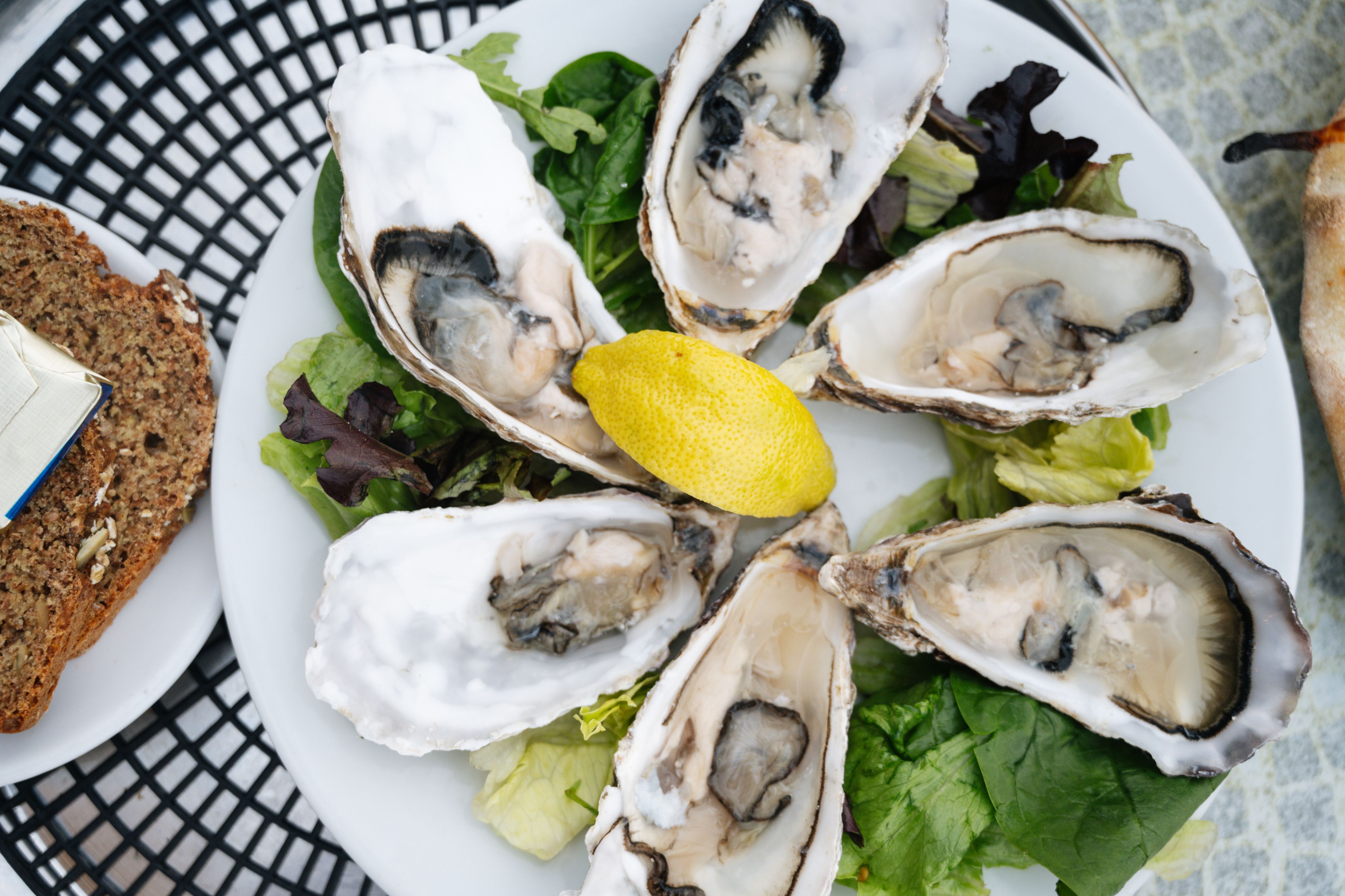 Image of Oysters decoratively served on a plate in Co. Cork