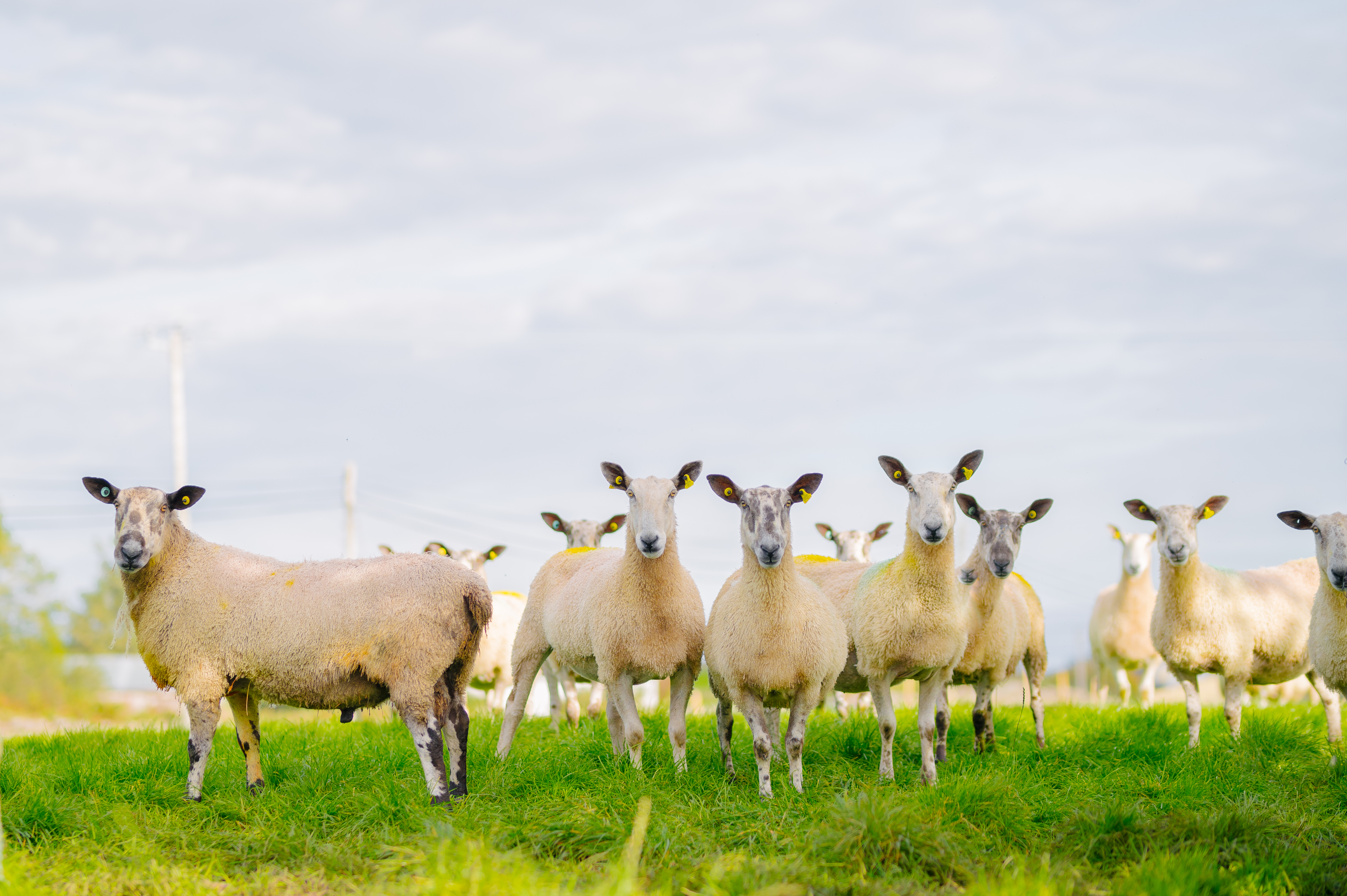 Retraite culturelle dans le comté de Mayo