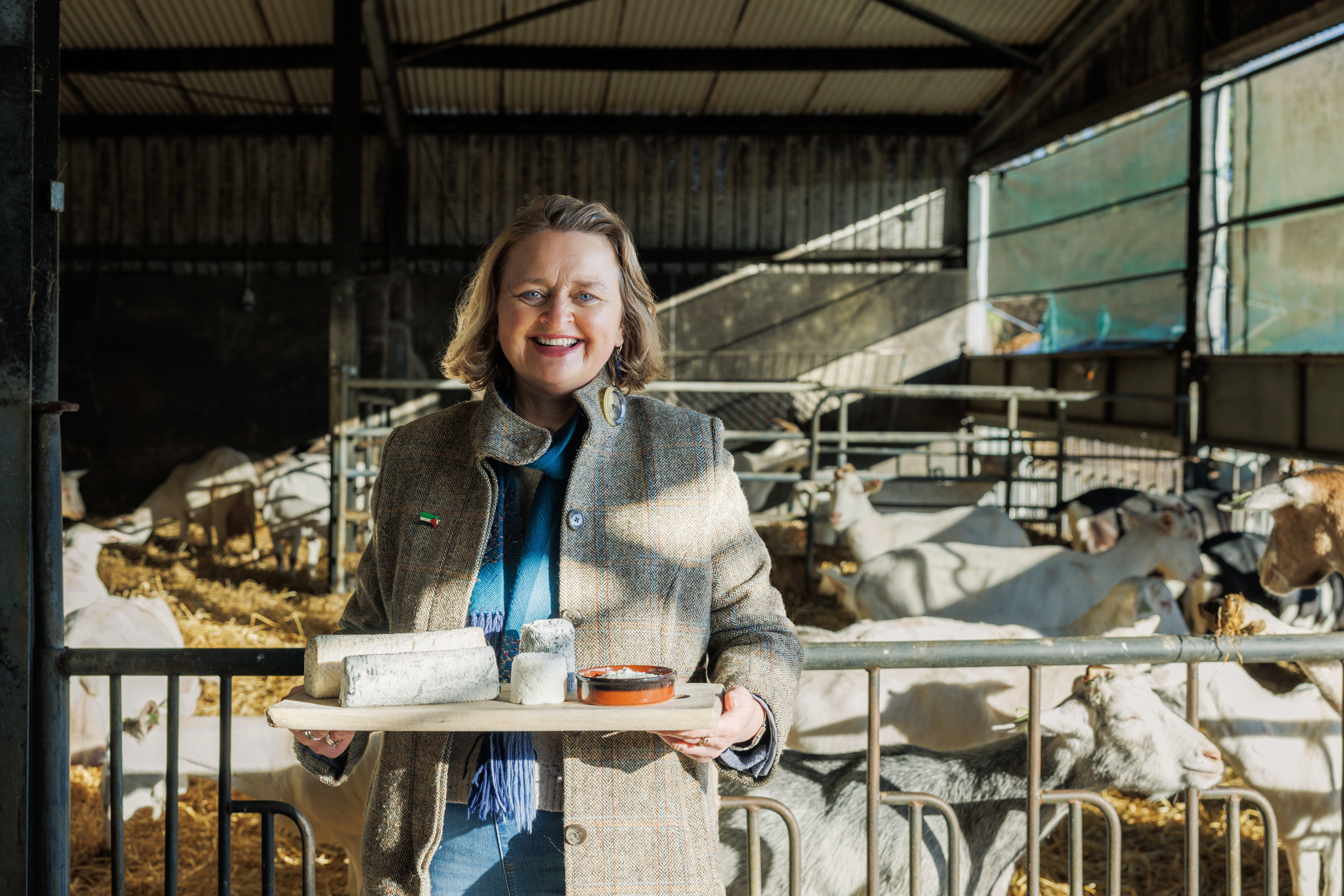 Image of St. Tola Goat Cheese Farm, Ennistymon, Co Clare