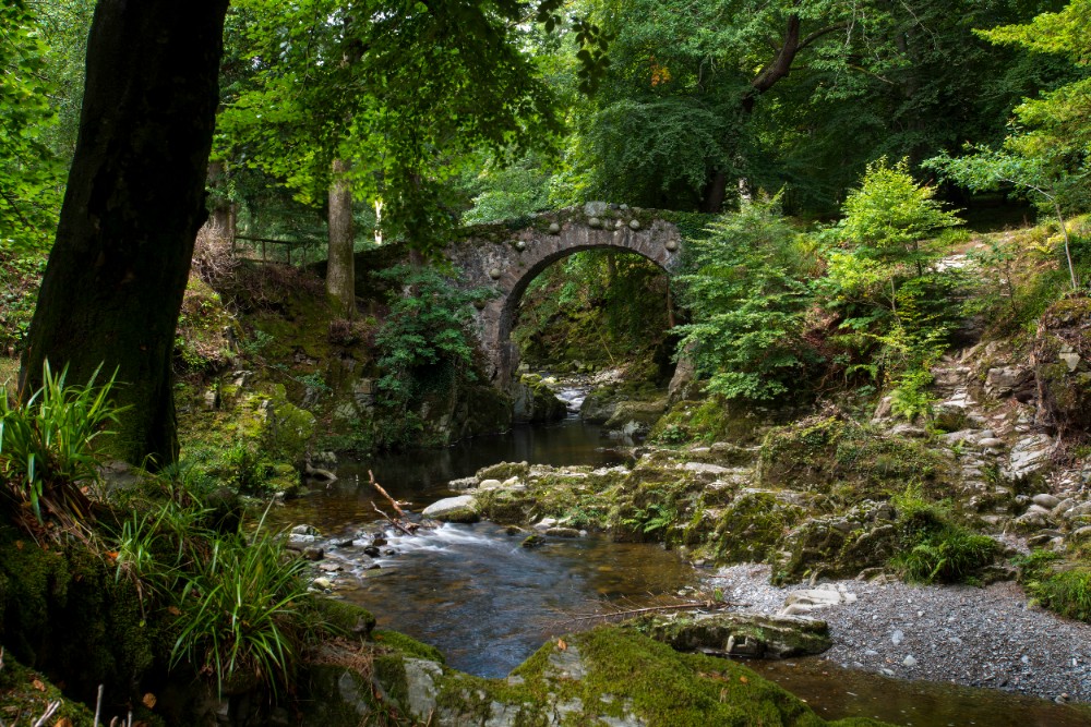 A bridge over a stream in Tolleymore Forest