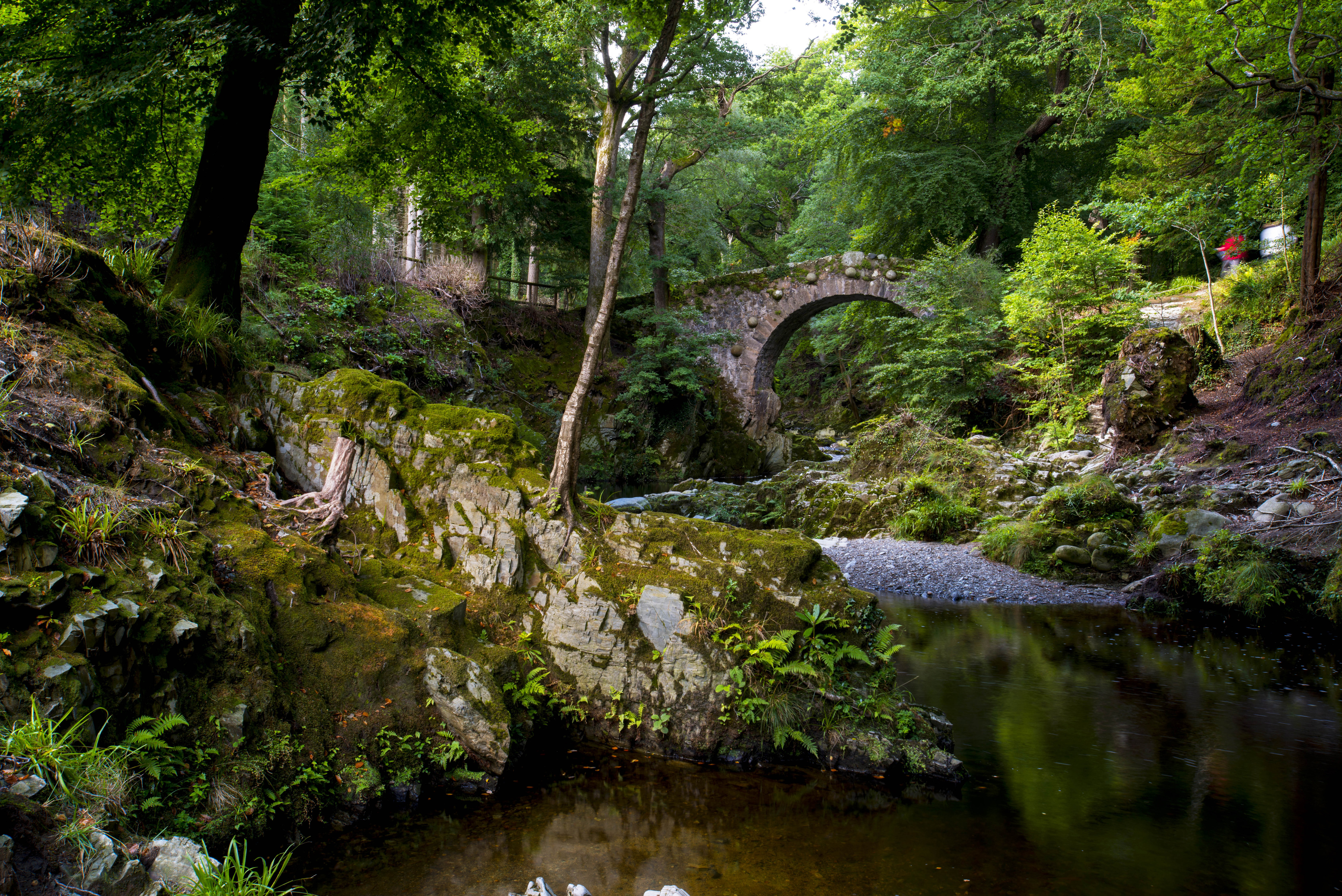 Image of Tollymore Forset,  Co. Down