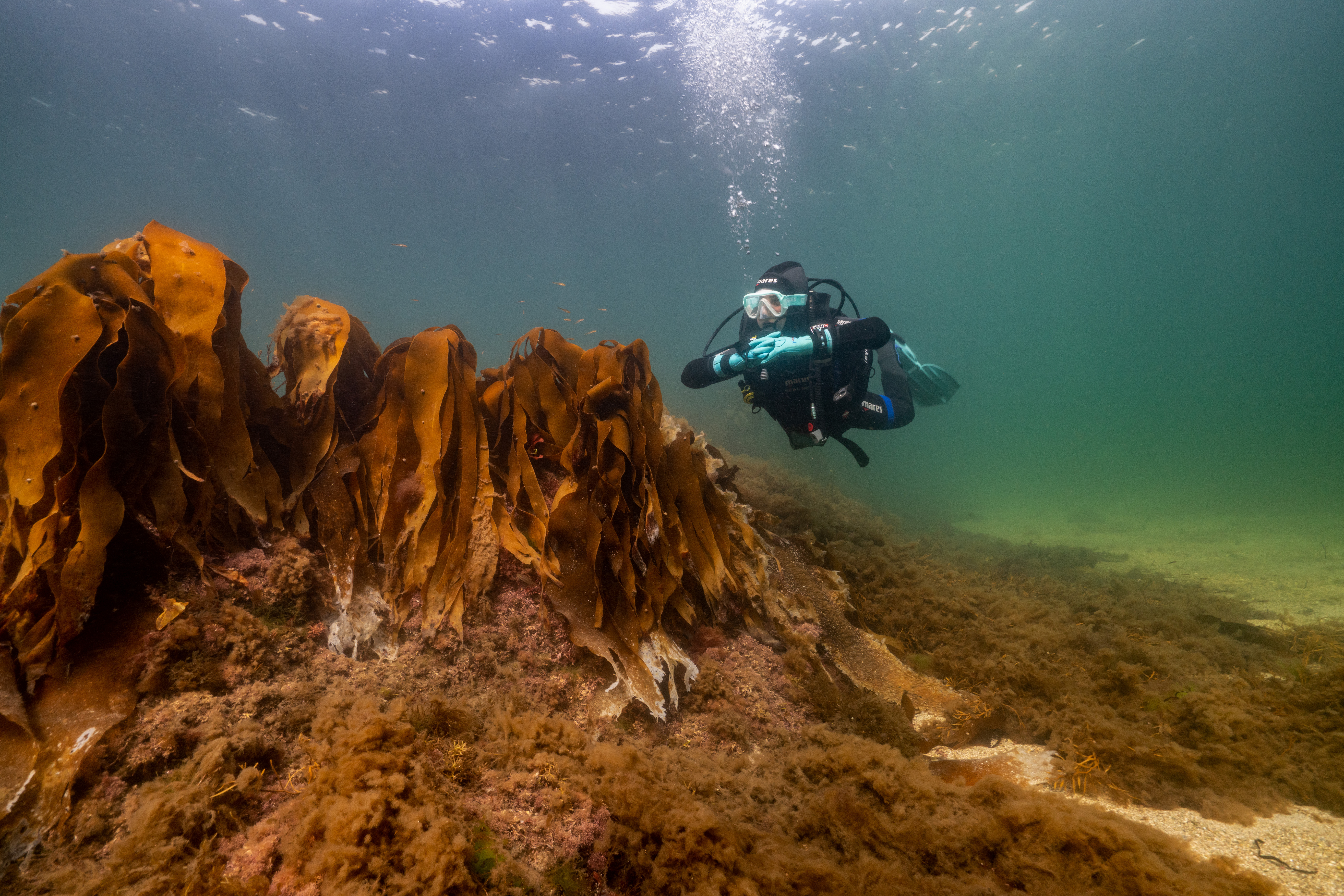 Eine Person beim Tauchen am Coral Beach im County Galway