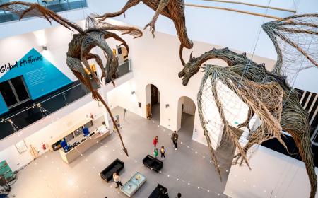 Ulster Museum, Interior, Belfast Desktop Image Deckenansicht des Ulster Museums mit zwei hängenden Dinosauriern