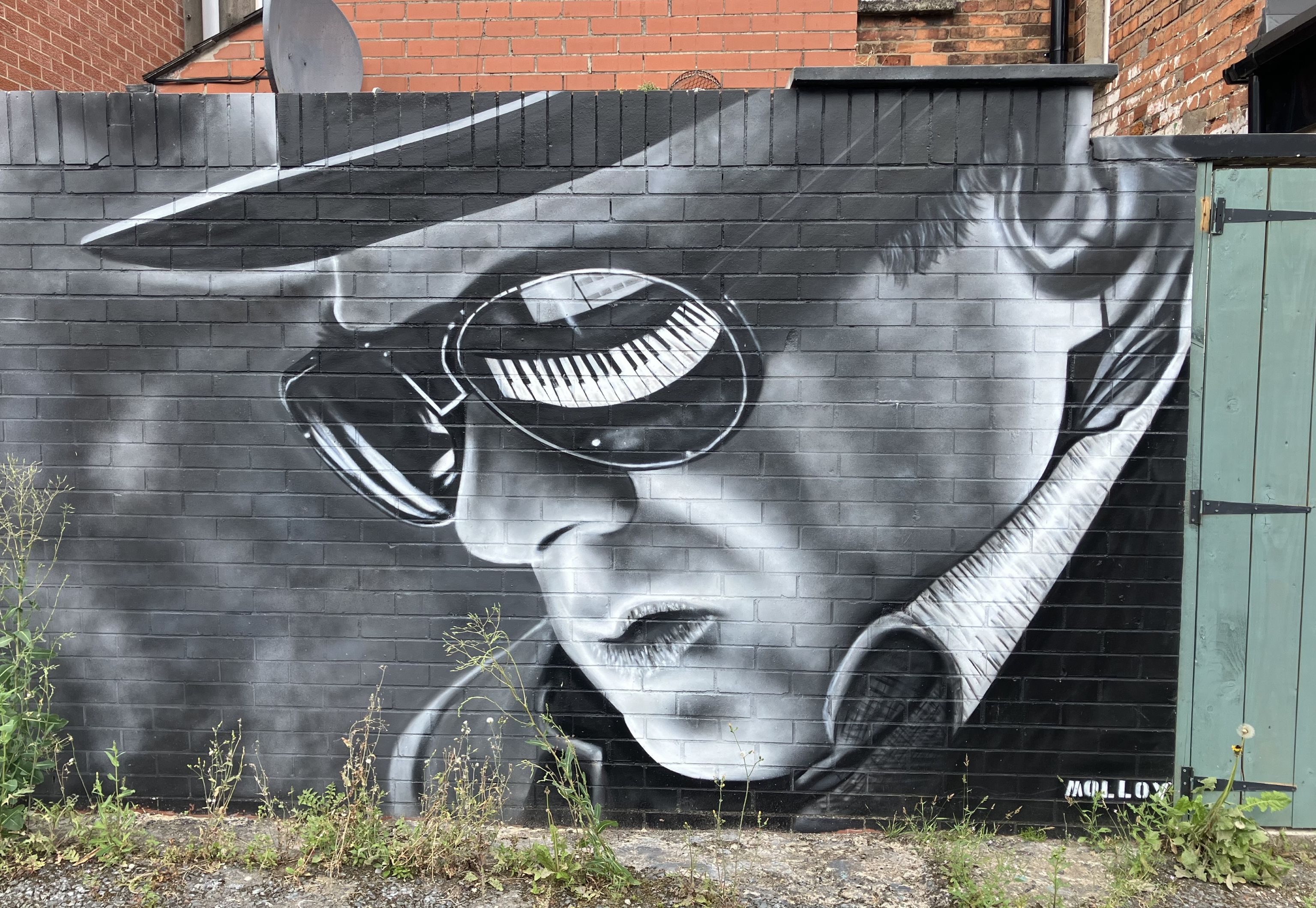 Van Morrison Street Art, Belfast