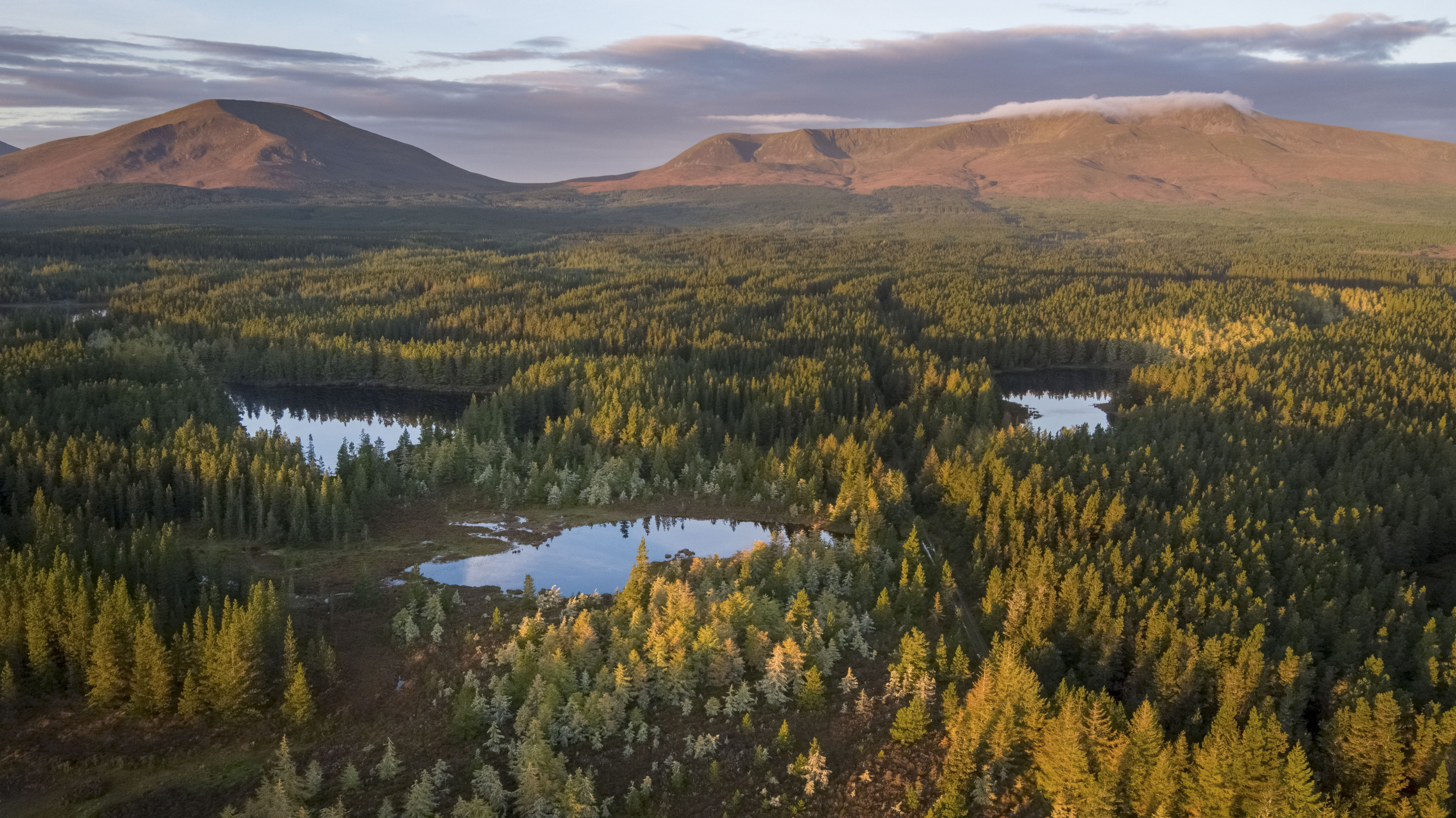 Wild Nephin National Park, Co Mayo_TI719ZJ Luftaufnahme des Wild Nephin Nationalparks mit Berg- und Waldlandschaft