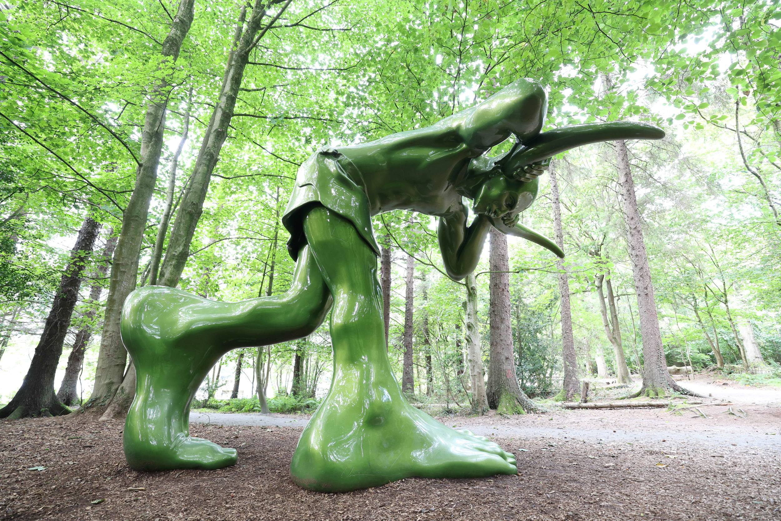 Big Foot, Hillsborough Forest, County Down
