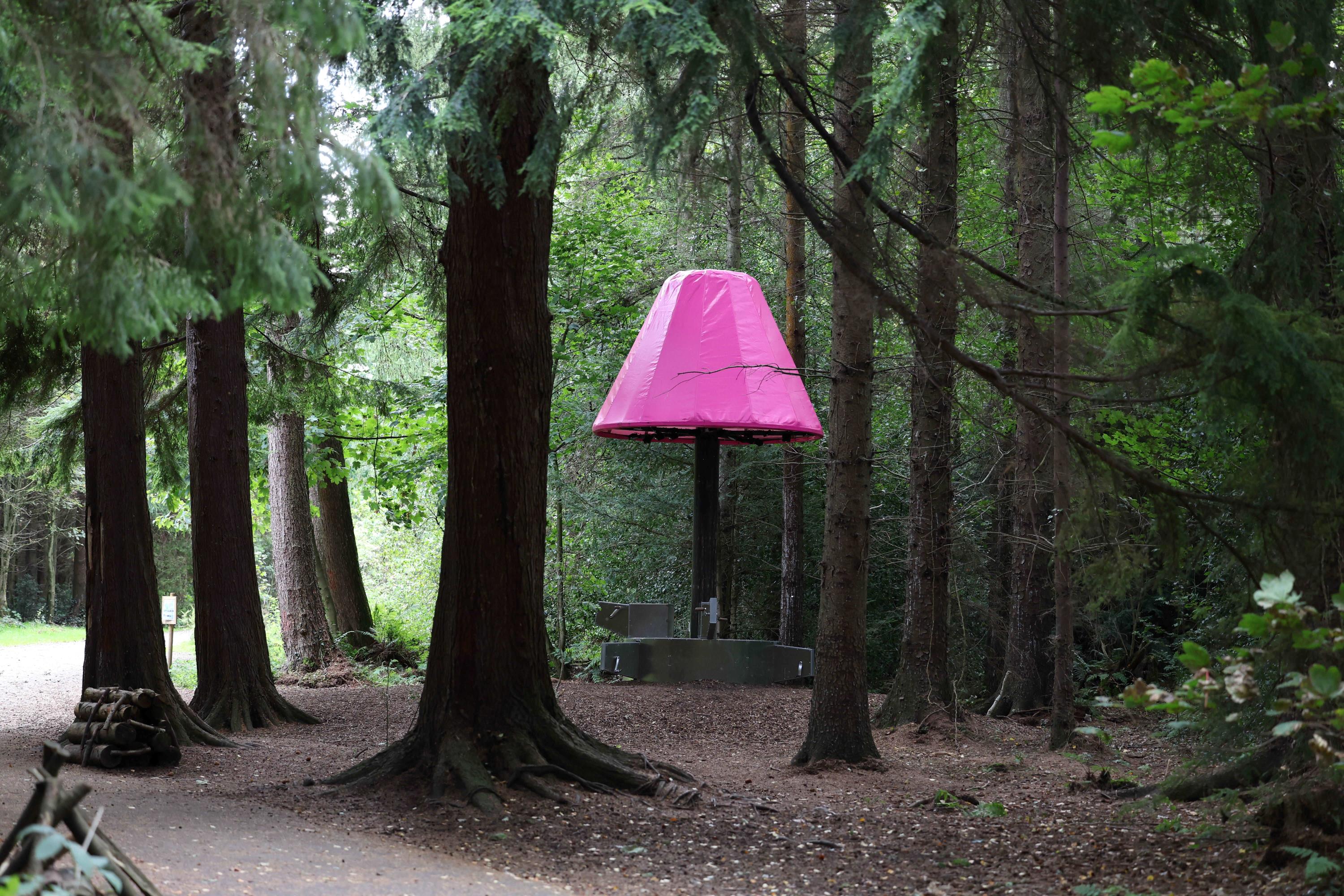 Power Up, Hillsborough Forest, County Down