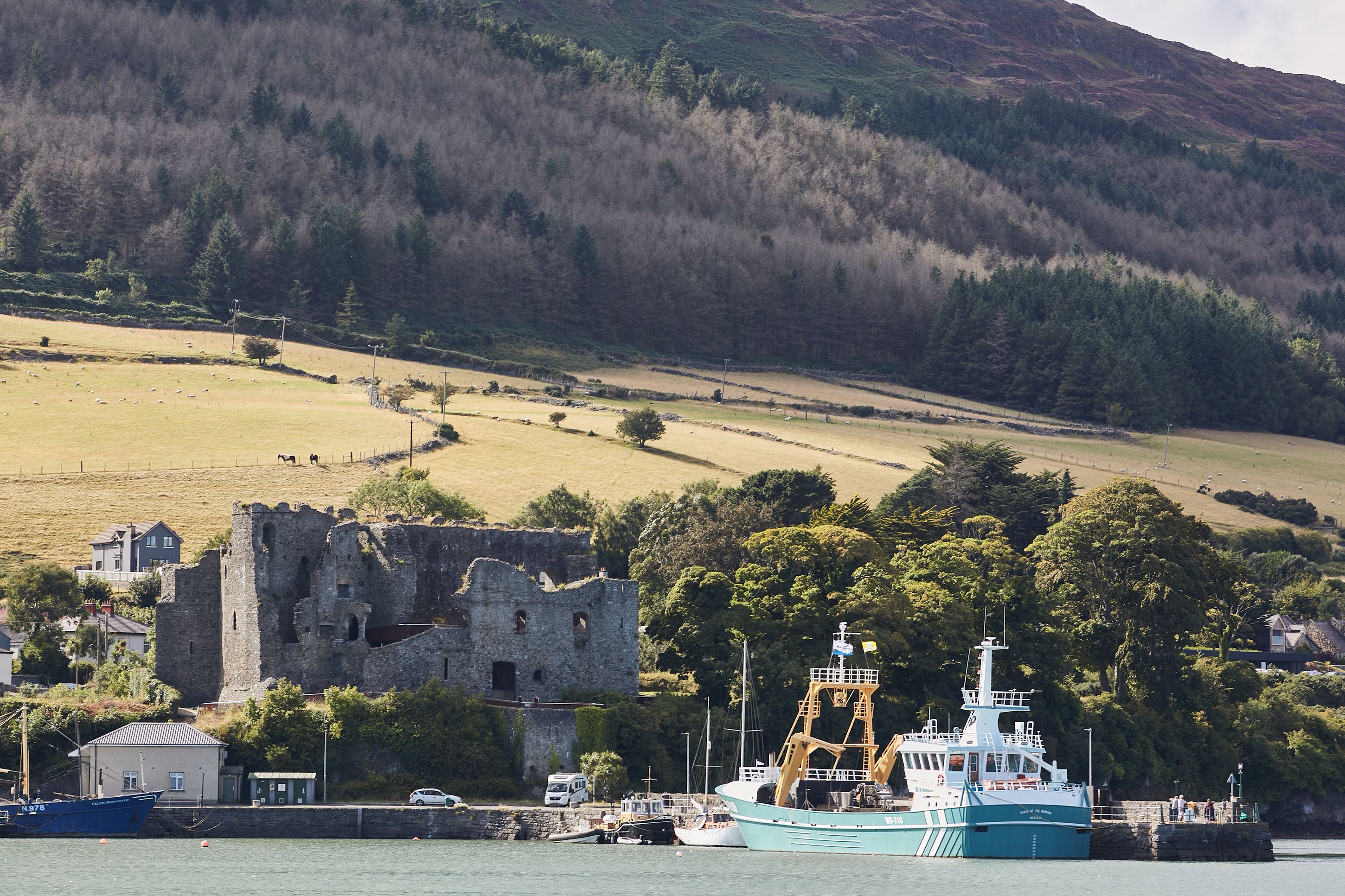 carlingford co-louth