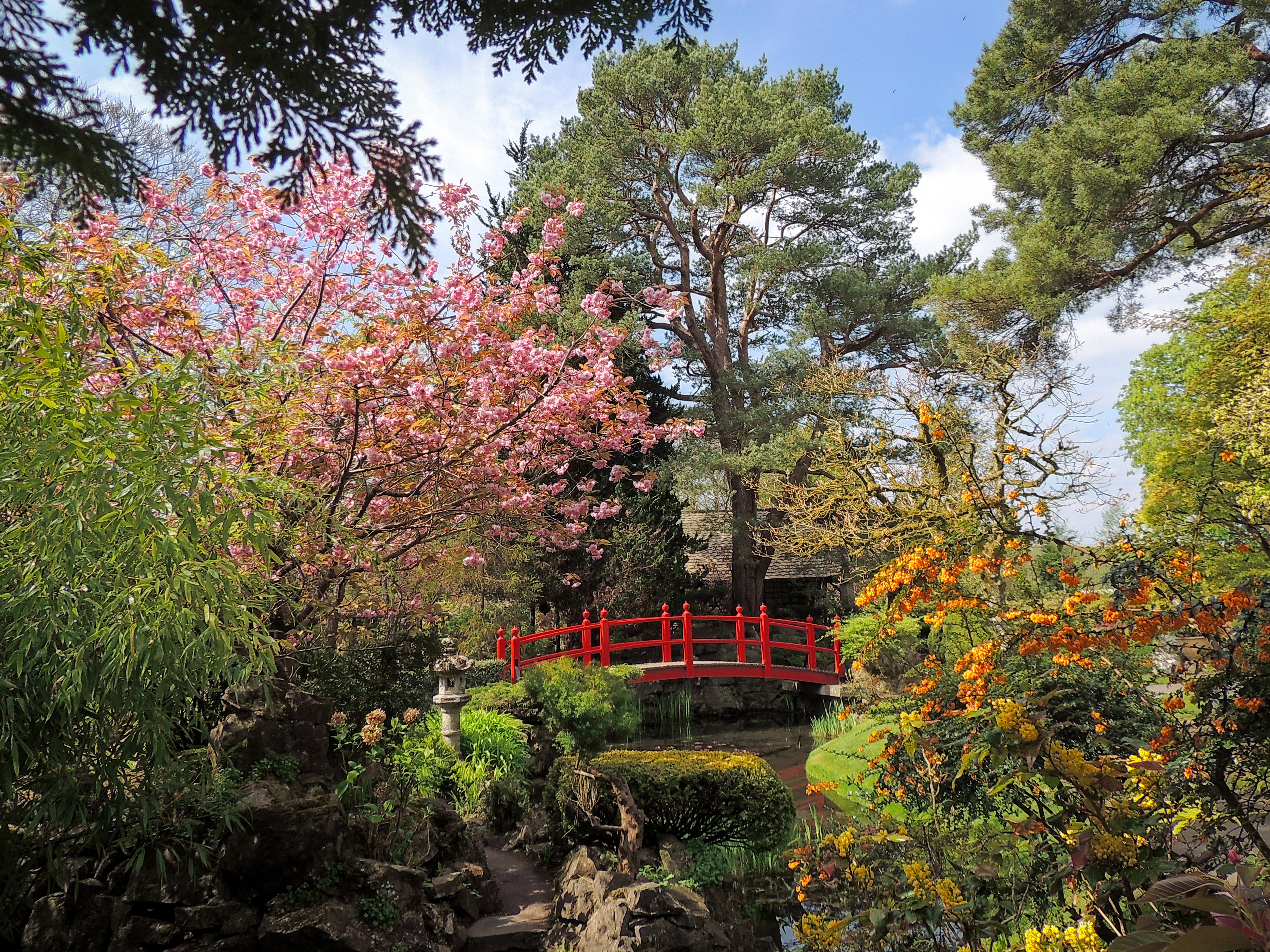 Cherry Blossom Bridge, Japanese Gardens, Irish National Stud, Co Kildare