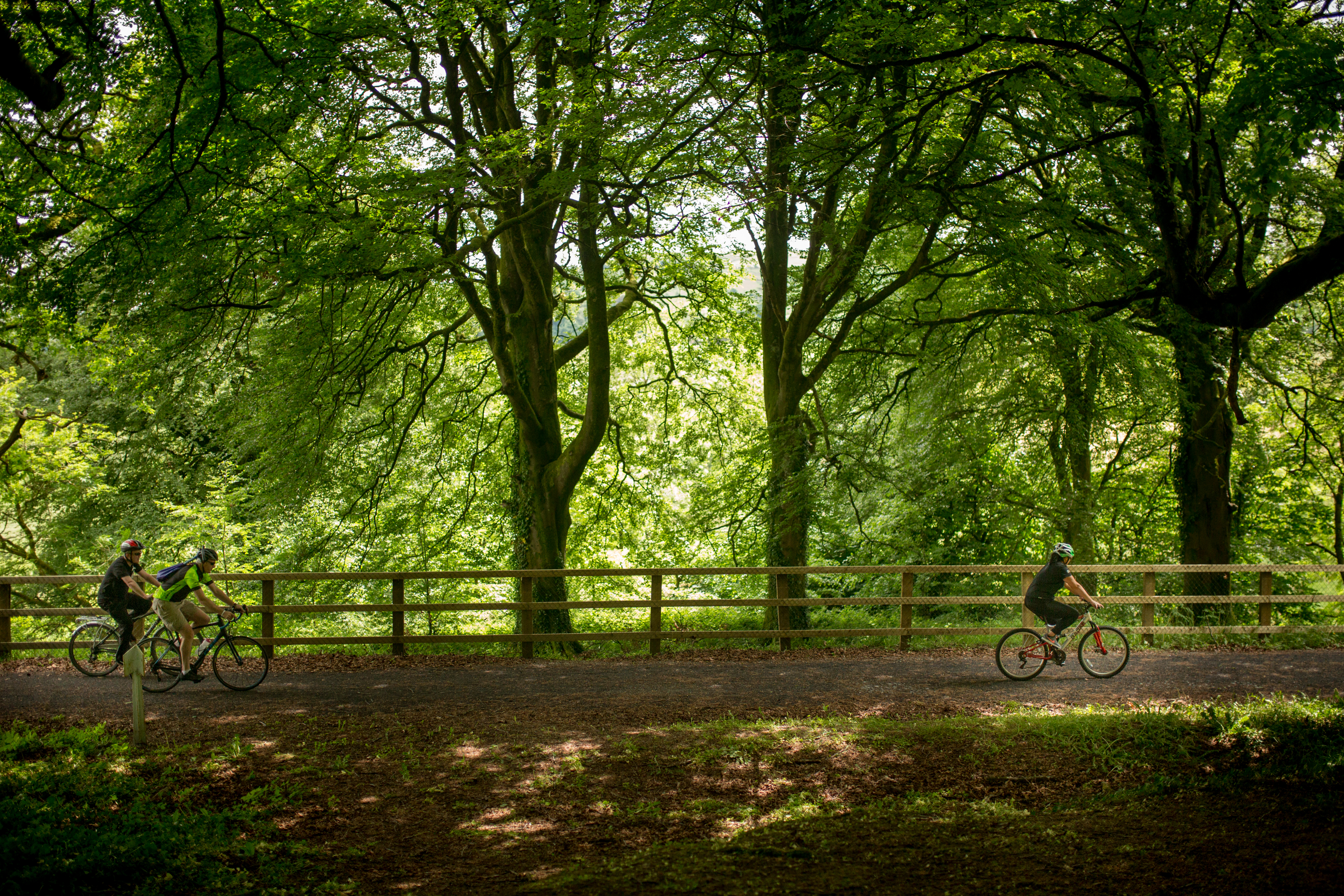 Family cycling the Limerick Greenway, Co Limerick