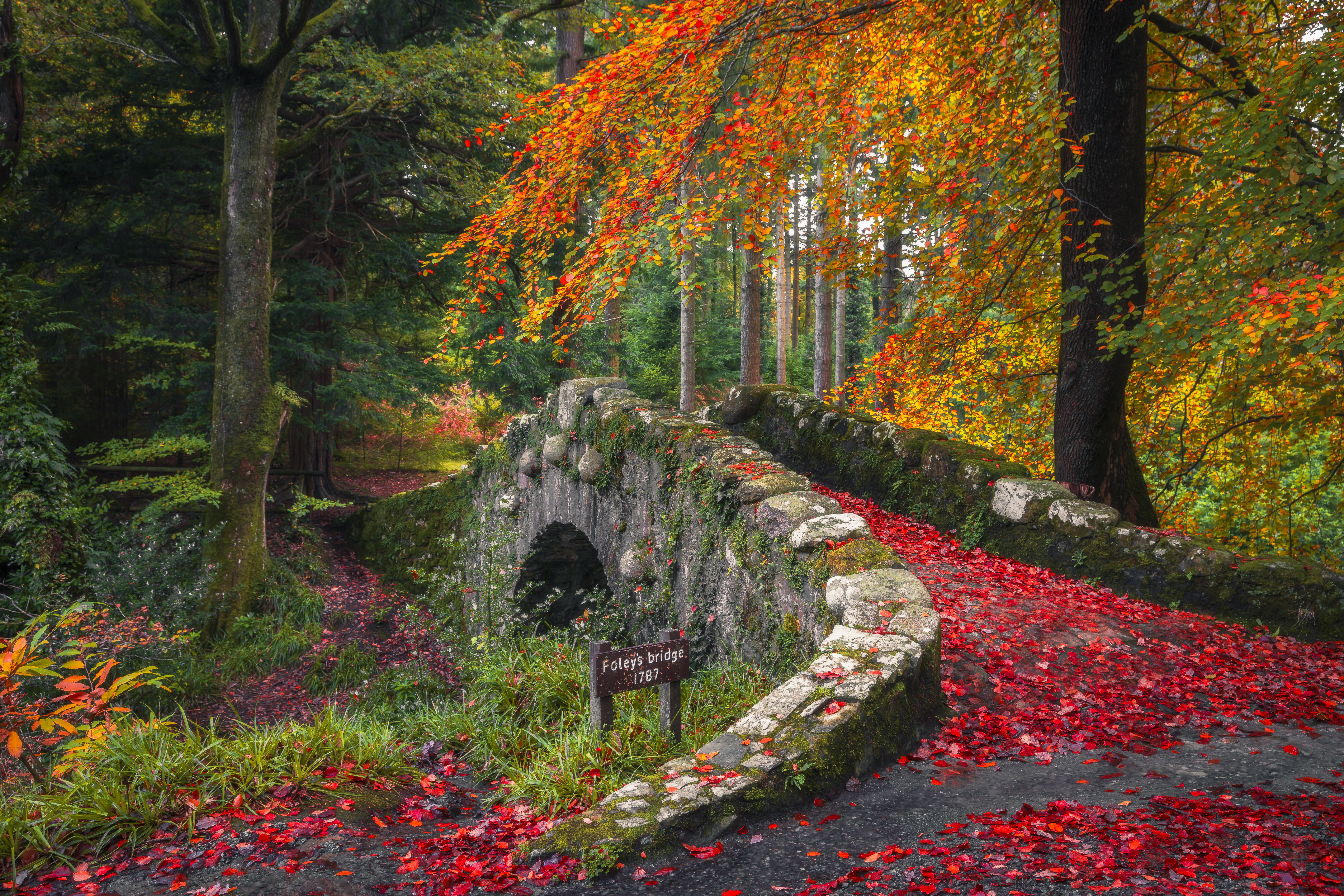 Foley's Bridge, Tollymore Forest Park,Co. Down
