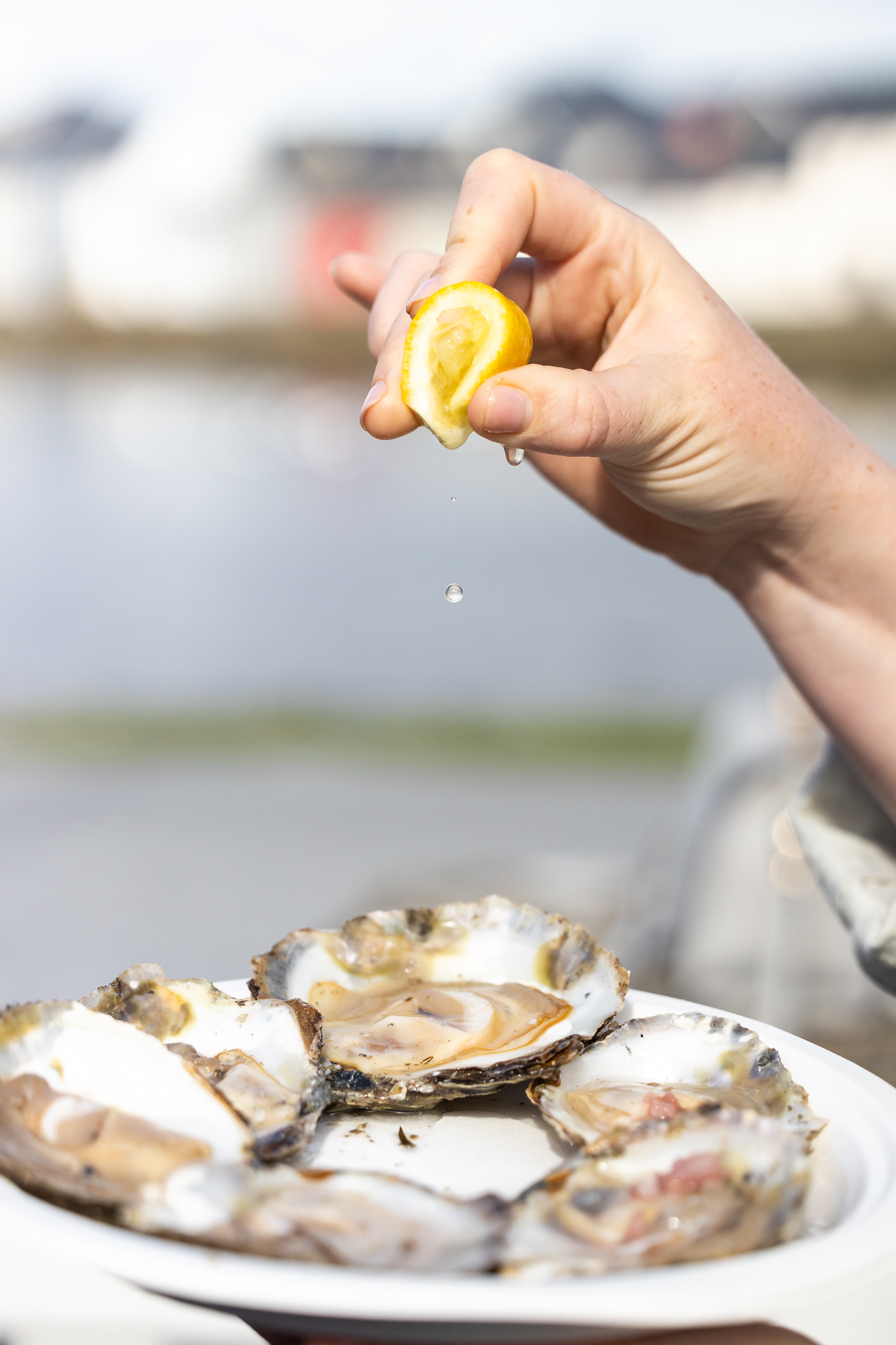 galway international oyster and seafood festival co galway