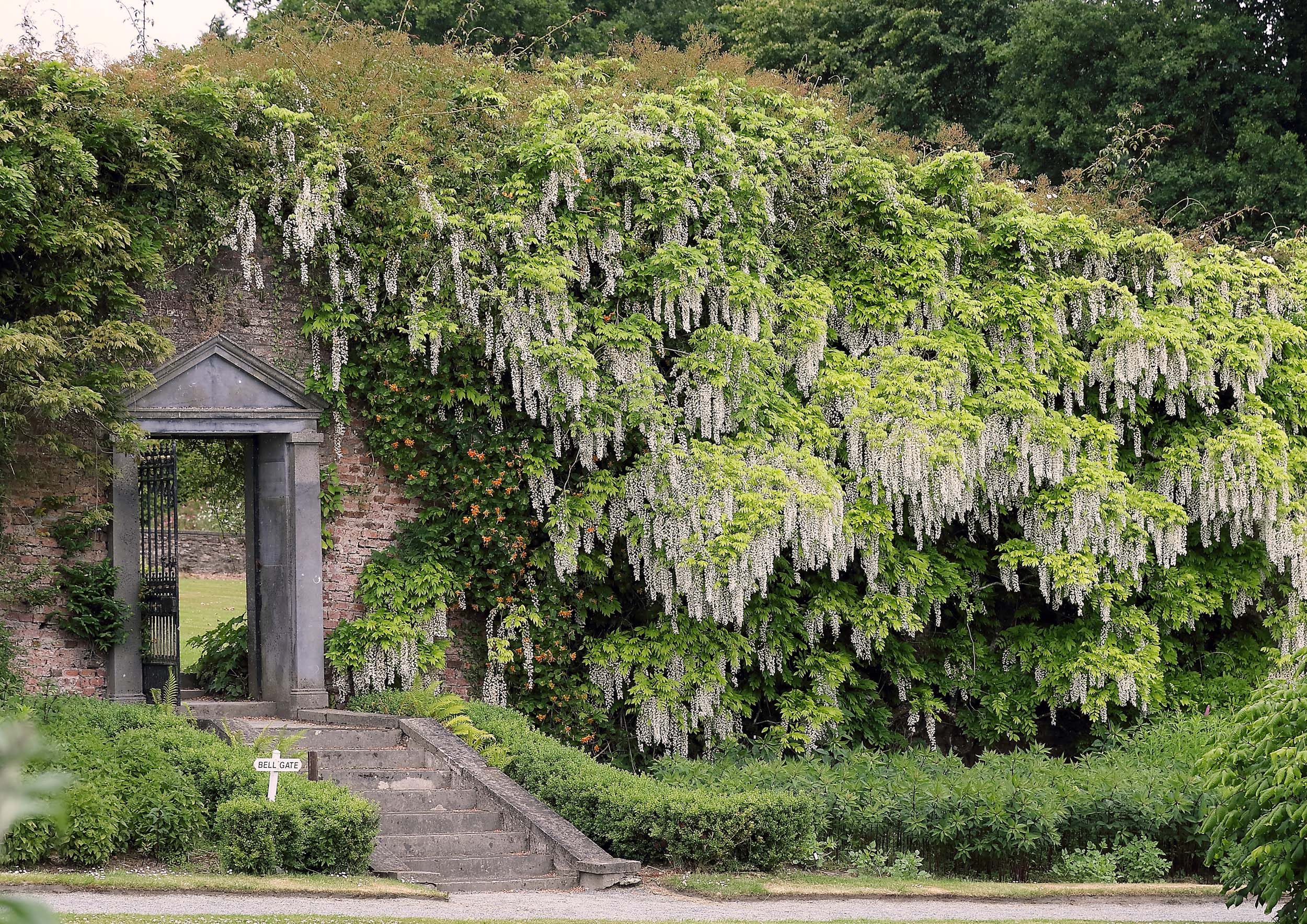 Mount Congreve Gardens, Co Waterford