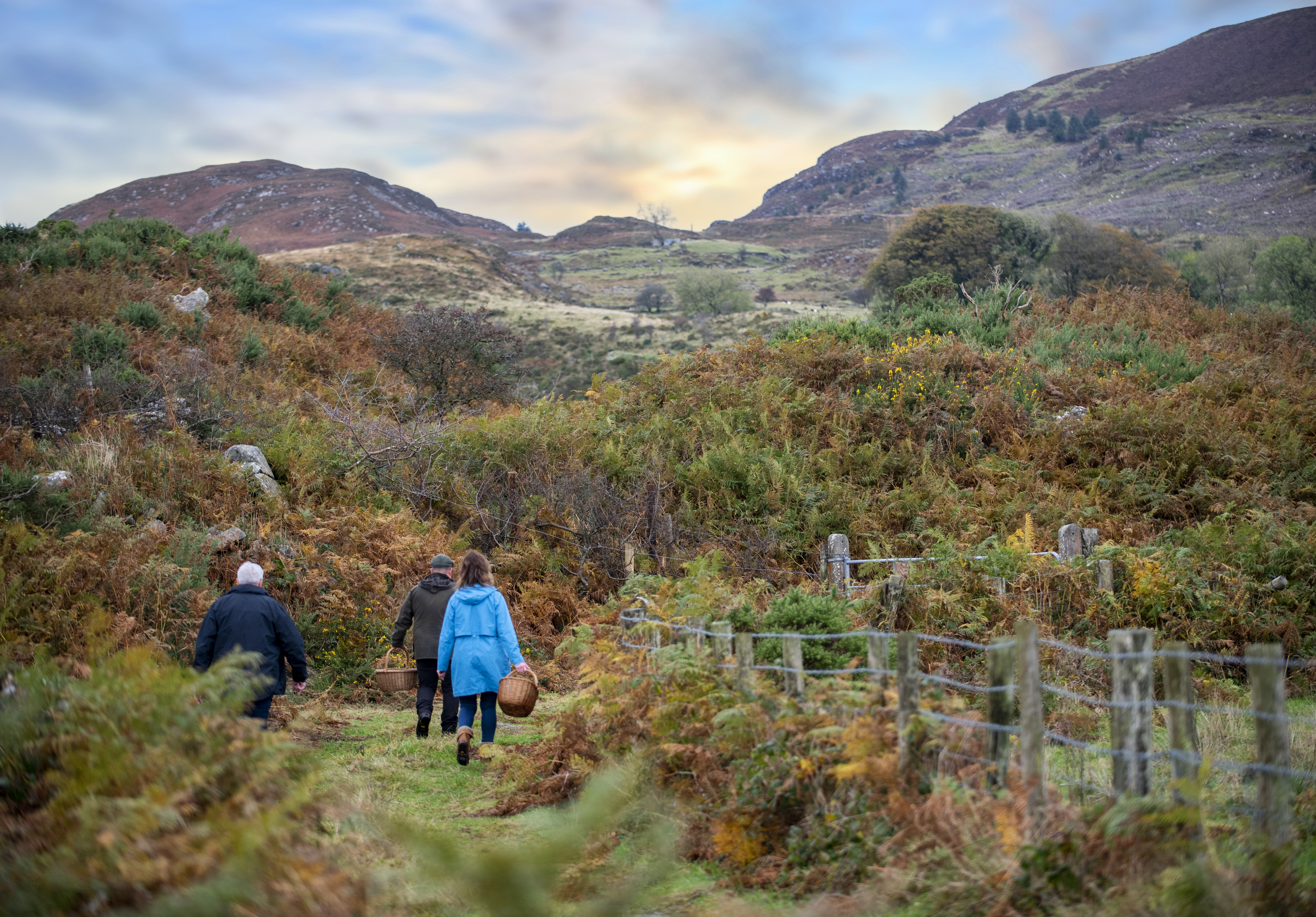Ring of Gullion, Co. Armagh