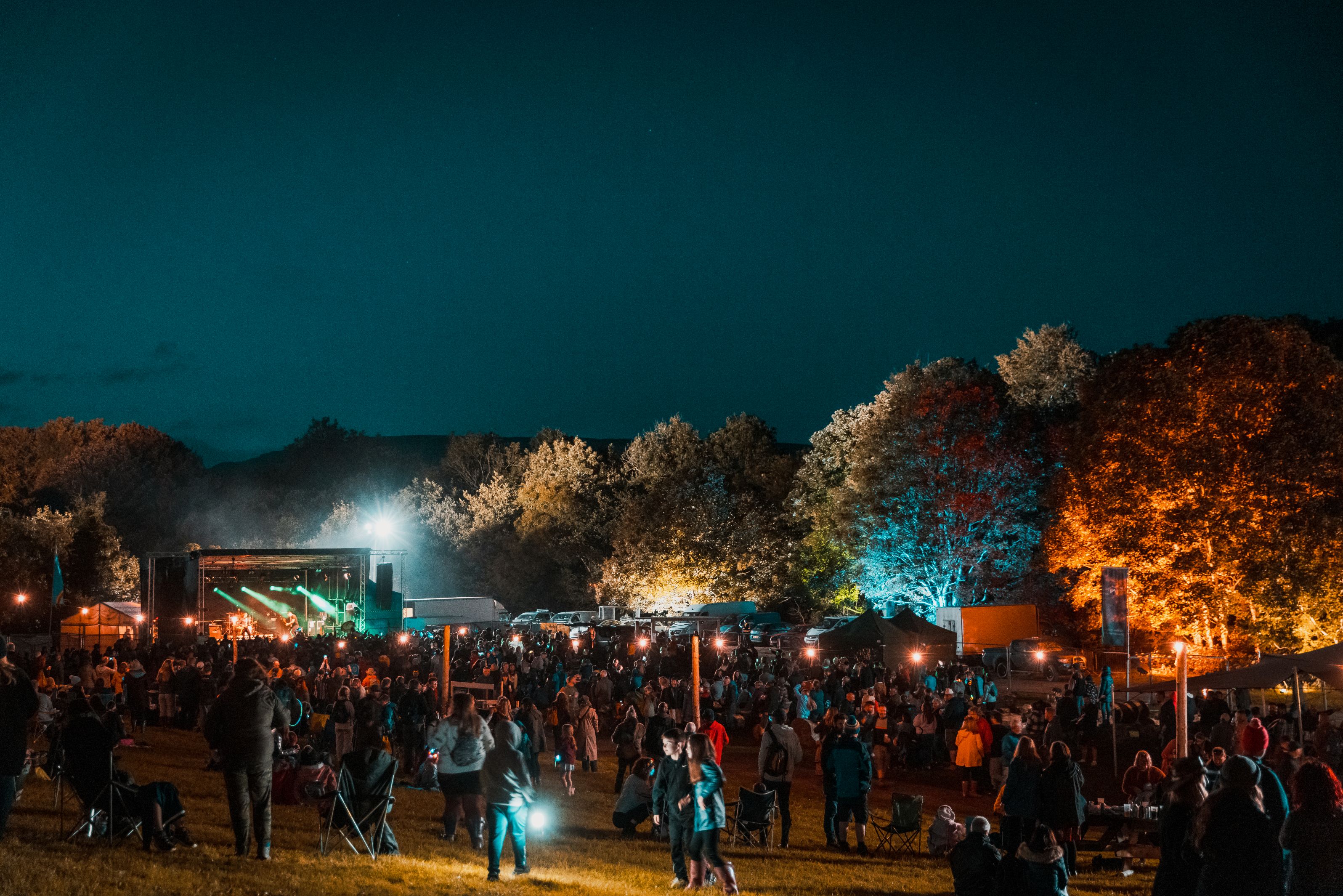 stendhal music festival limavady co londonderry ash perform