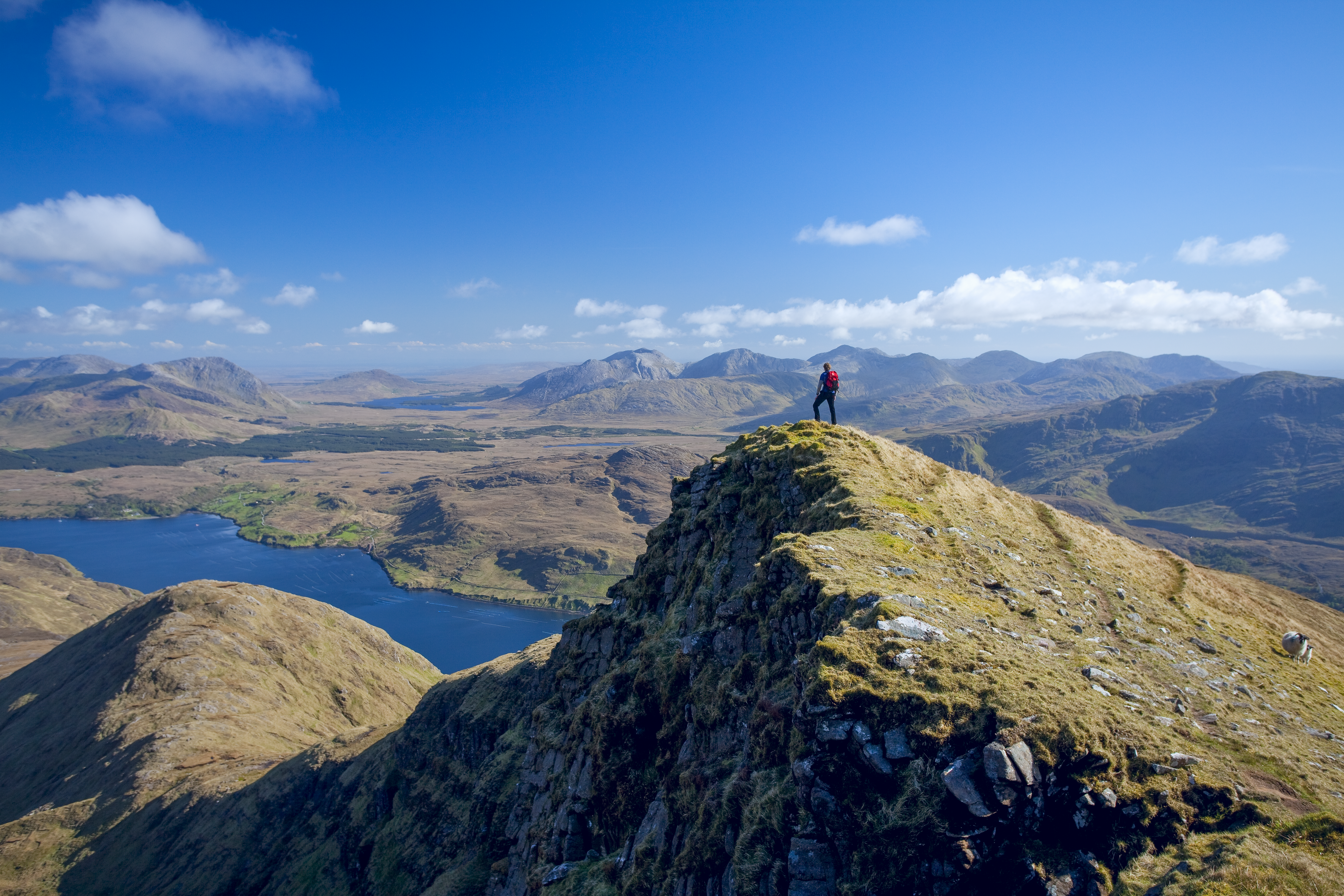 walker on south ridge of mweelrea overlooking killary fjord co mayo walker on south ridge of mweelrea overlooking killary fjord co mayo