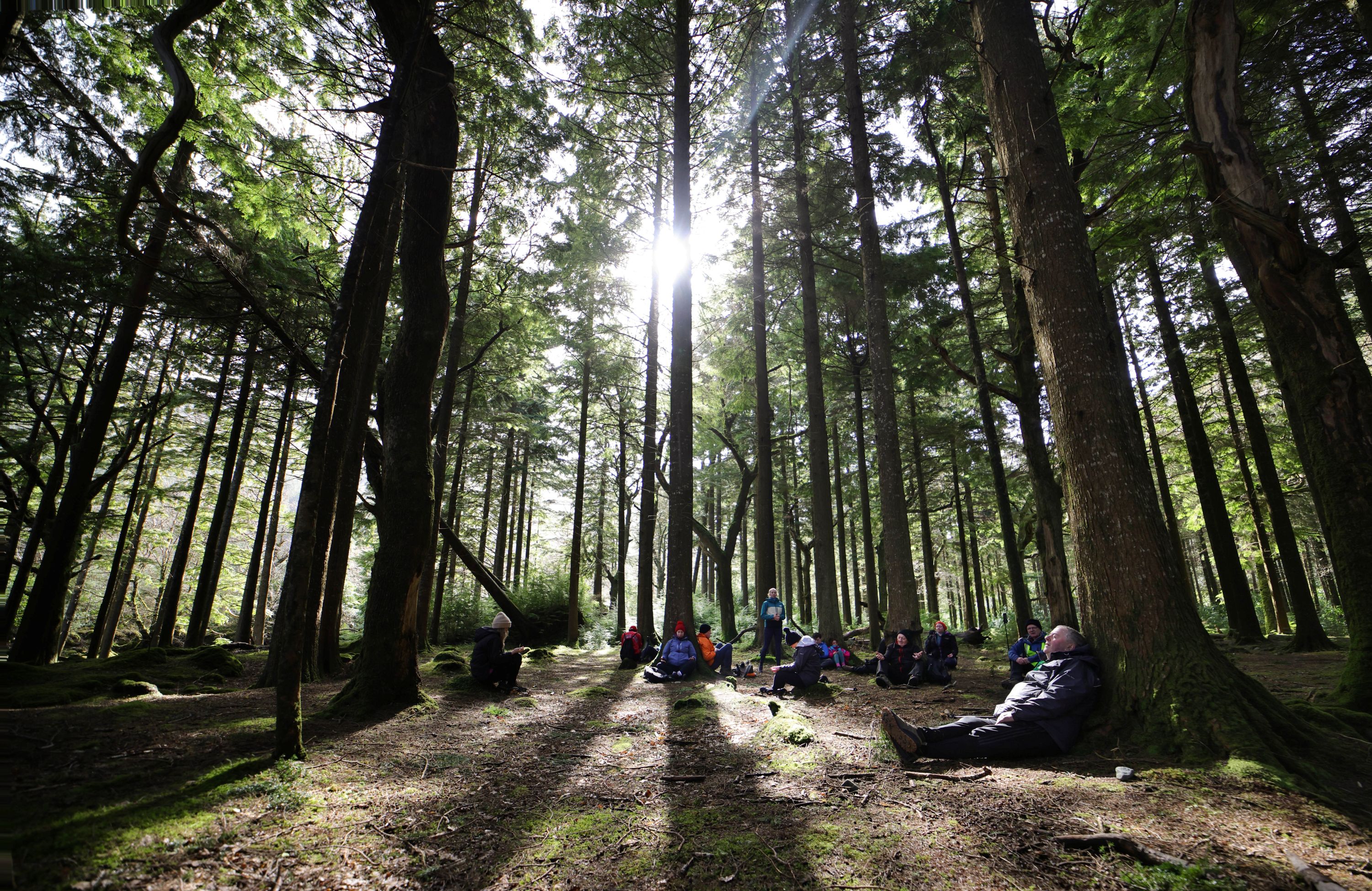 wander wild mountain mindfulness